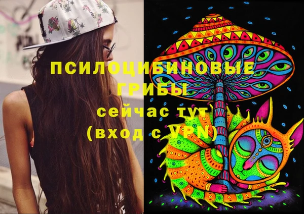 экстази Алзамай