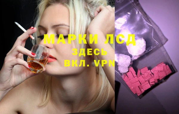 apvp Алексин