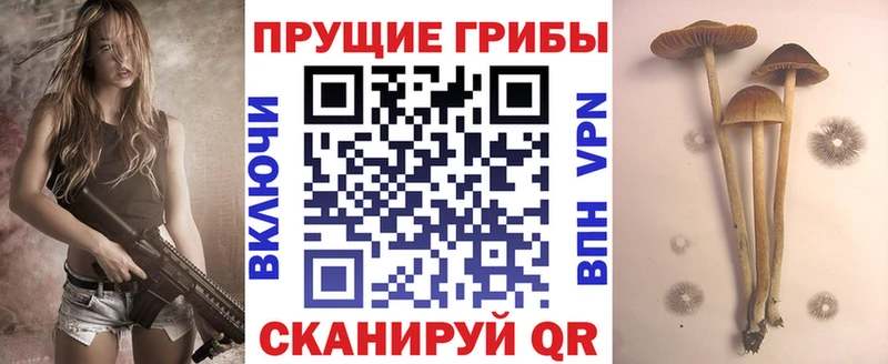 МЕГА маркетплейс  Волгодонск  Псилоцибиновые грибы прущие грибы 