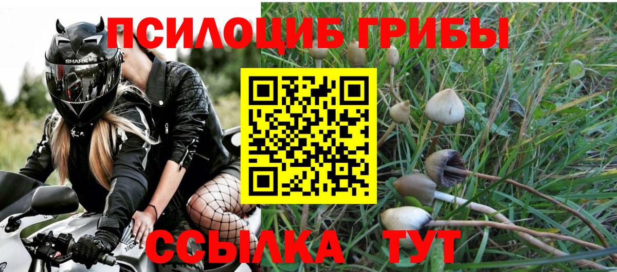 Псилоцибиновые грибы ЛСД  Вход с VPN  Волгодонск 