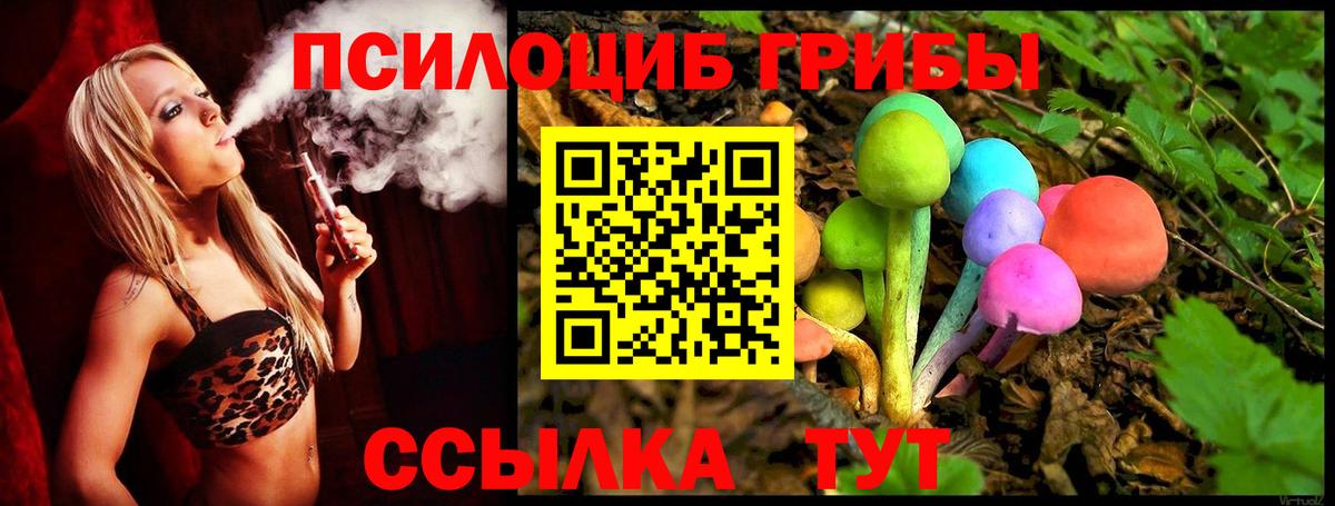 Псилоцибиновые грибы Cubensis Волгодонск